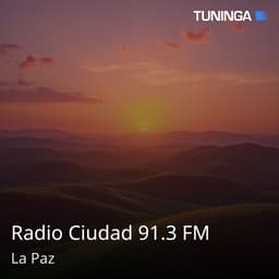 Radio Ciudad 91.3 FM