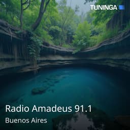 Radio Amadeus 91.1