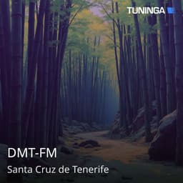 DMT-FM