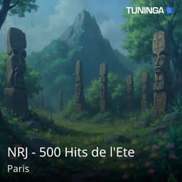 NRJ - 500 Hits de l'Ete