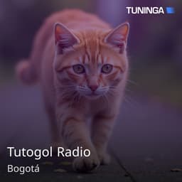 Tutogol Radio