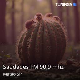 Saudades FM 90,9 mhz