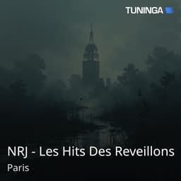 NRJ - Les Hits Des Reveillons