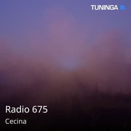 Radio 675