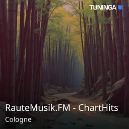 RauteMusik.FM - ChartHits