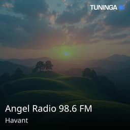 Angel Radio 98.6 FM