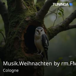 Musik.Weihnachten by rm.FM