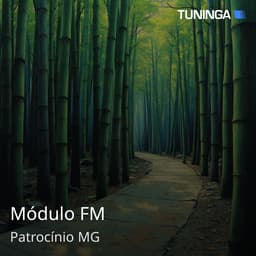Módulo FM