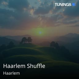 Haarlem Shuffle