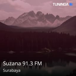 Suzana 91.3 FM