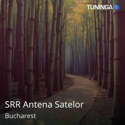 SRR Antena Satelor