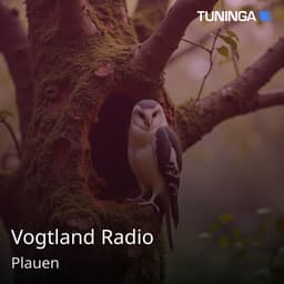 Vogtland Radio