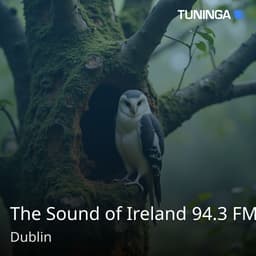 The Sound of Ireland 94.3 FM