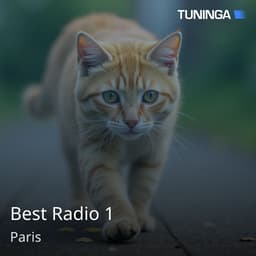 Best Radio 1