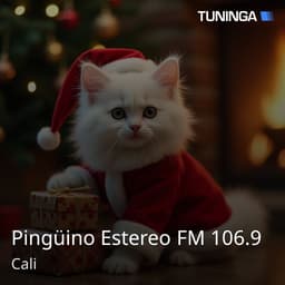 Pingüino Estereo FM 106.9