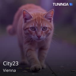City23