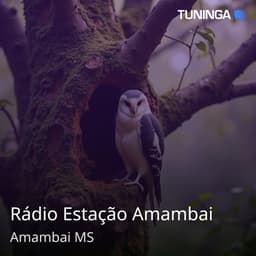 Rádio Estação Amambai