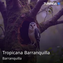 Tropicana Barranquilla
