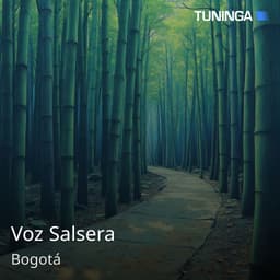 Voz Salsera