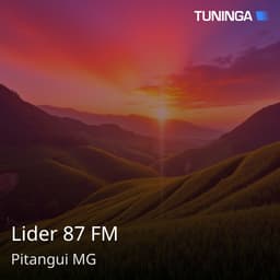 Lider 87 FM