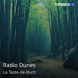 Radio Dunes