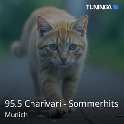 95.5 Charivari - Sommerhits