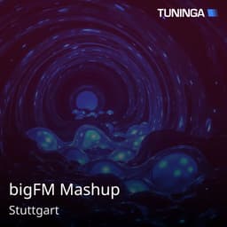 bigFM Mashup