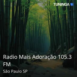 Radio Mais Adoração 105.3 FM