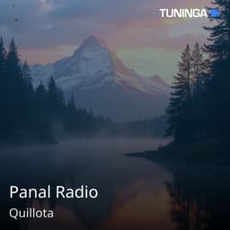 Panal Radio