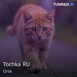 Tochka RU