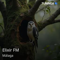 Elixir FM