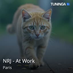 NRJ - At Work