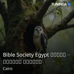 Bible Society Egypt راديو الكتاب المقدس 
