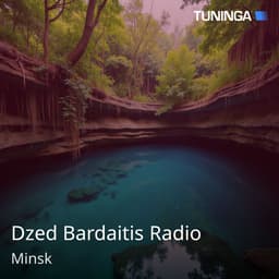 Dzed Bardaitis Radio