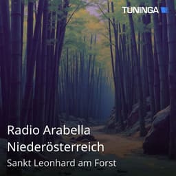 Radio Arabella Niederösterreich