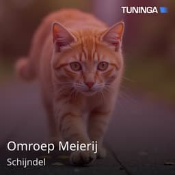 Omroep Meierij