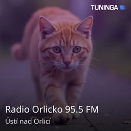 Radio Orlicko 95.5 FM