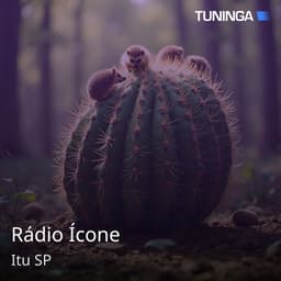 Rádio Ícone