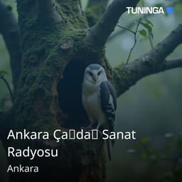 Ankara Çağdaş Sanat Radyosu
