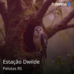 Estação Dwilde