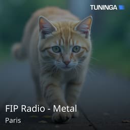 FIP Radio - Metal