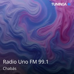 Radio Uno FM 99.1