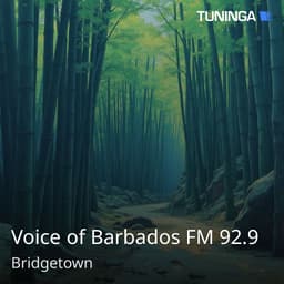 Voice of Barbados FM 92.9