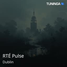 RTÉ Pulse