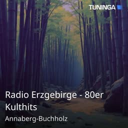 Radio Erzgebirge - 80er Kulthits