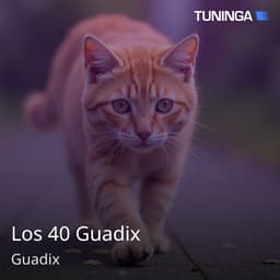 Los 40 Guadix