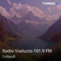 Radio Viaducto 101.9 FM