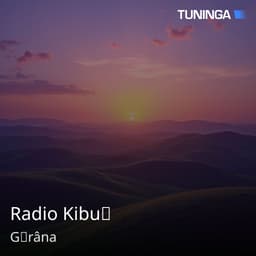 Radio Kibuț