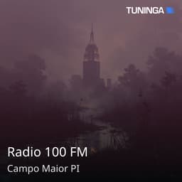 Radio 100 FM