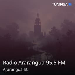 Radio Ararangua 95.5 FM